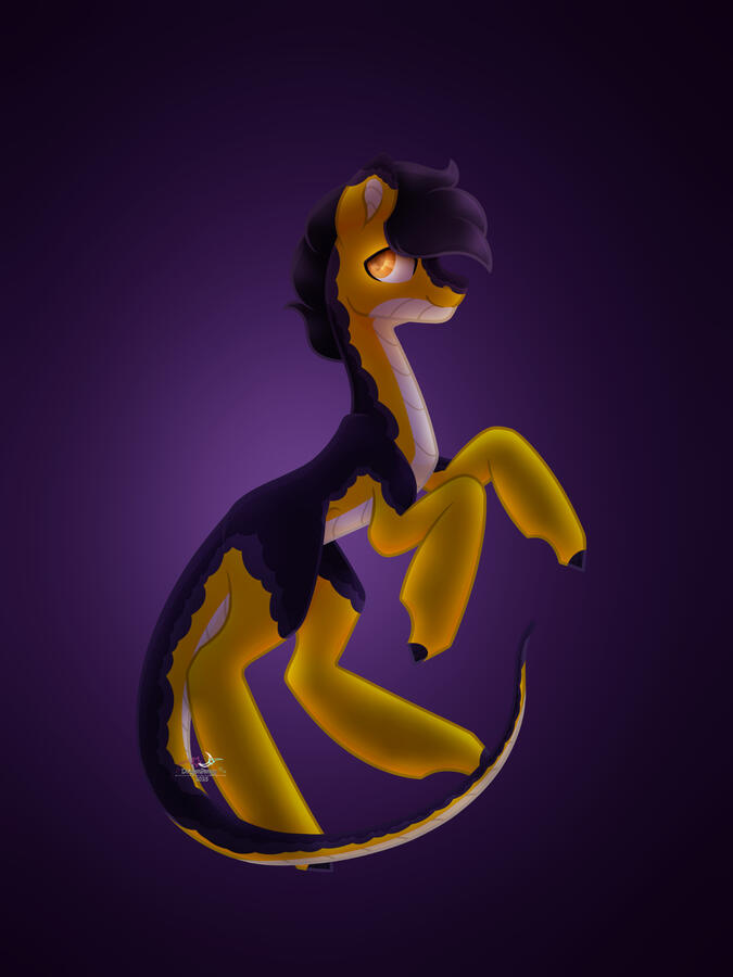 Shaded Pony Fullbody with Gradient/Darkroom background